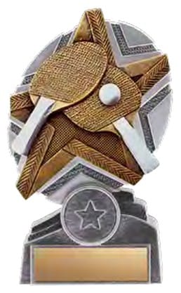 ProStar Table Tennis Award
