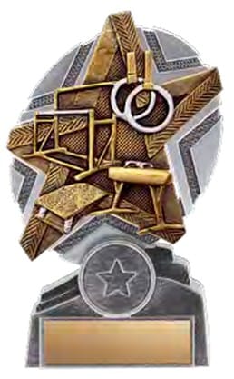 ProStar Gymnastics Award