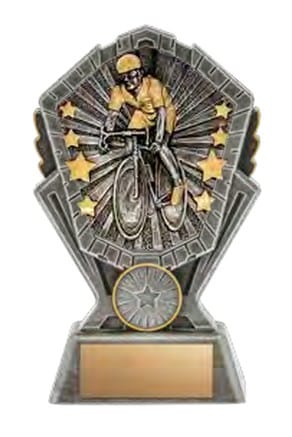 Cosmos Cycling Award