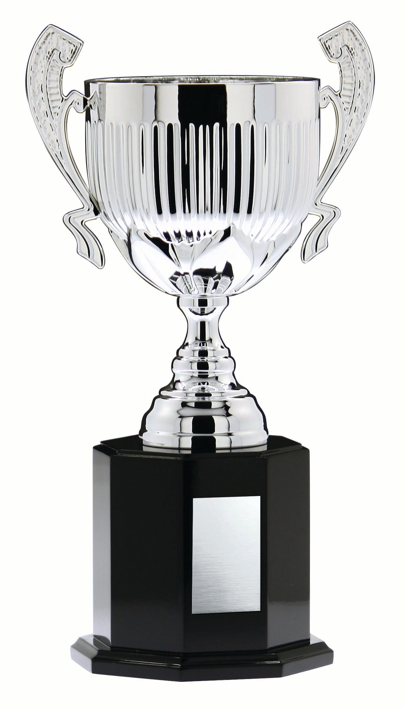 Silver Cup with Handles on Tall Black Wood Base, 17