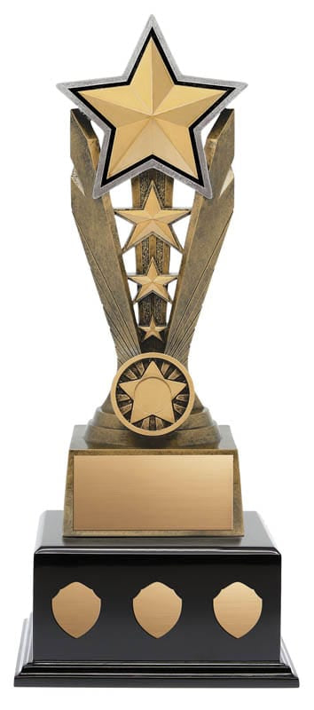 Star Zenith Resin on Black Wood Base 17 1/2