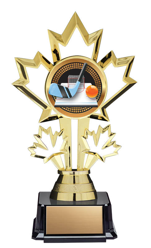 Ball Hockey Patriot Insert Trophy 7