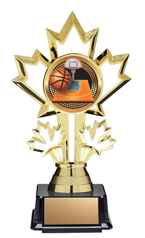 Basketball Patriot Insert Trophy 7