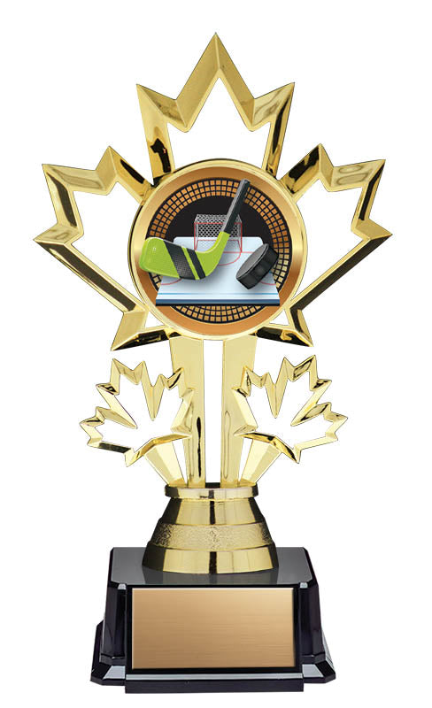 Hockey Patriot Insert Trophy 7