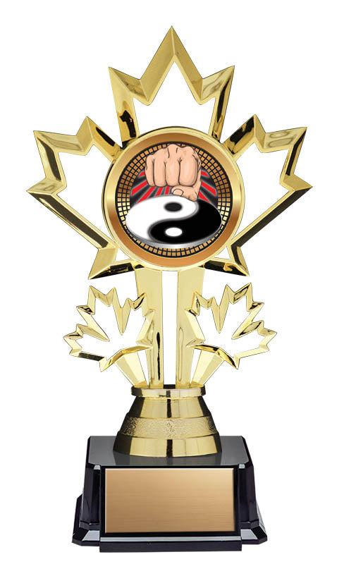 Martial Arts Patriot Insert Trophy 7