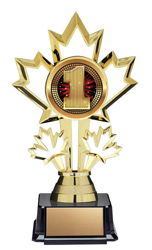First Place Patriot Insert Trophy 7