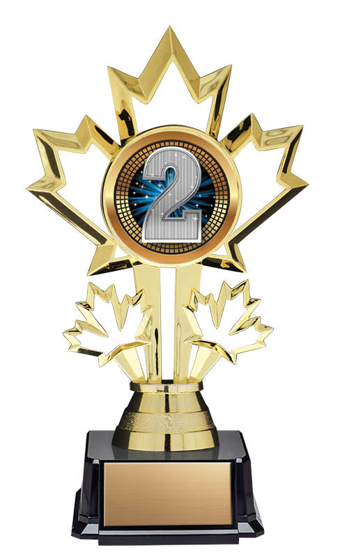 Second Place Patriot Insert Trophy 7