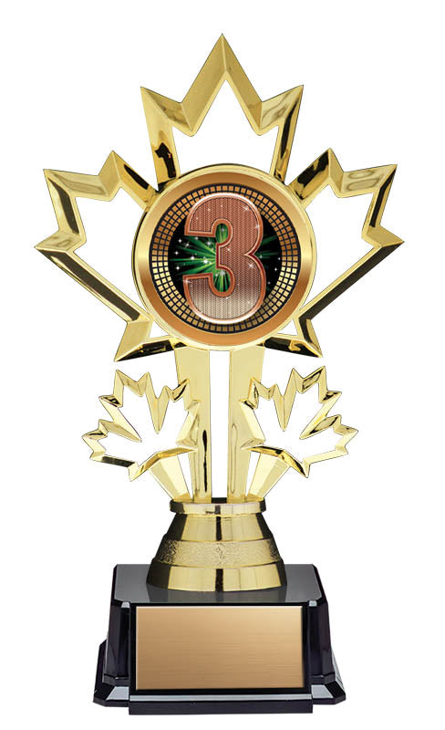 Third Place Patriot Insert Trophy 7