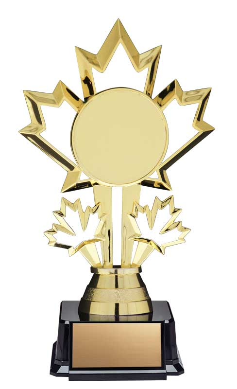 Patriot Insert Trophy on Black Base 7