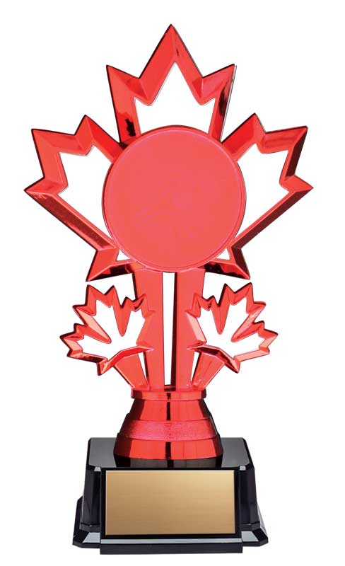 Patriot Insert Trophy on Black Base 7