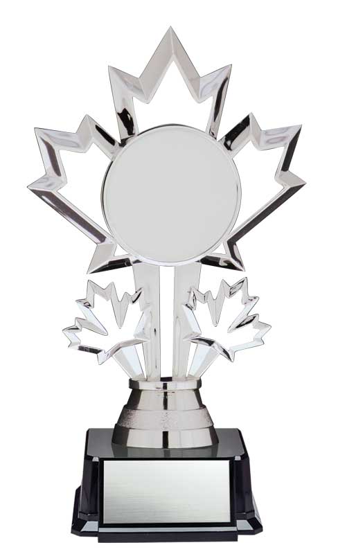Patriot Insert Trophy on Black Base 7