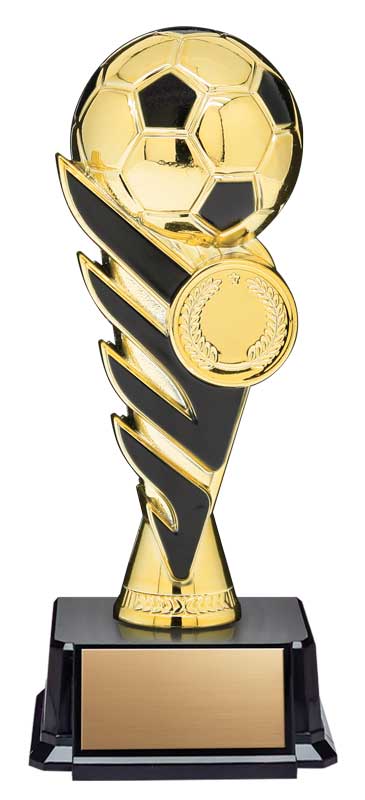 Soccer Award