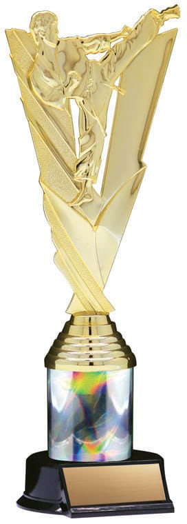 Victory Series Karate Trophy, 10 1/2