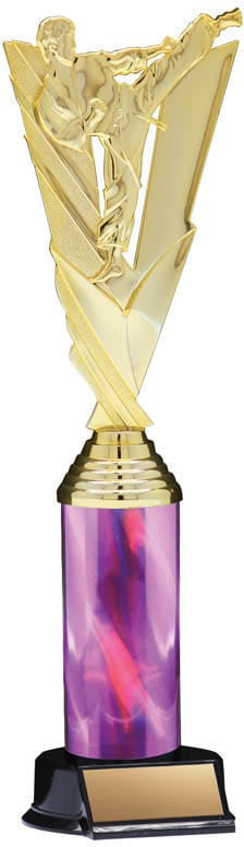 Victory Series Karate Trophy, 12 1/2