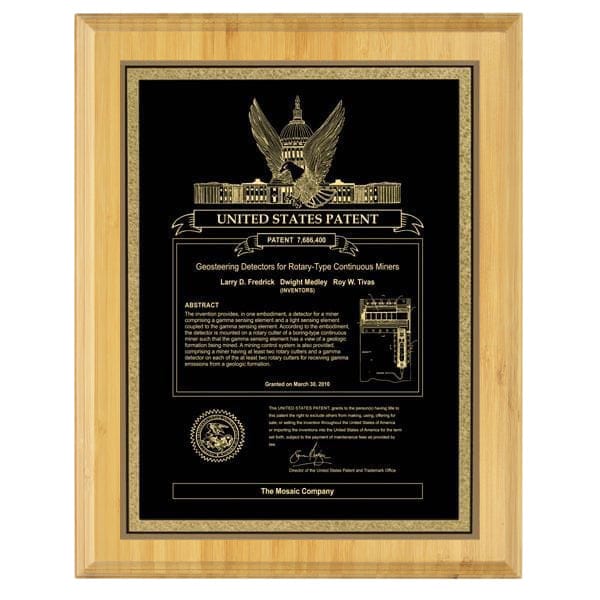 Bamboo Square Edge USA Patent plaque