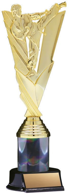 Victory Series Karate Trophy, 10 1/2