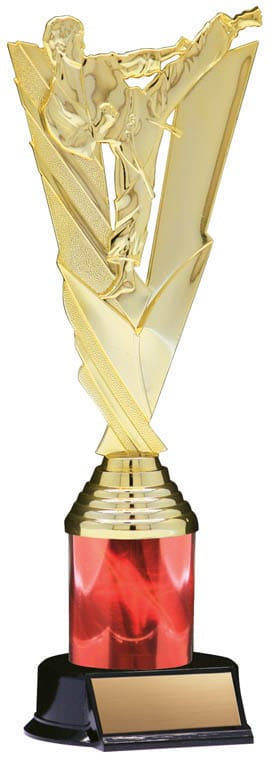 Victory Series Karate Trophy, 10 1/2