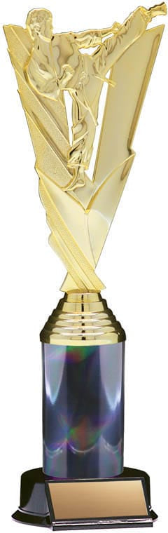 Victory Series Karate Trophy, 11 1/2