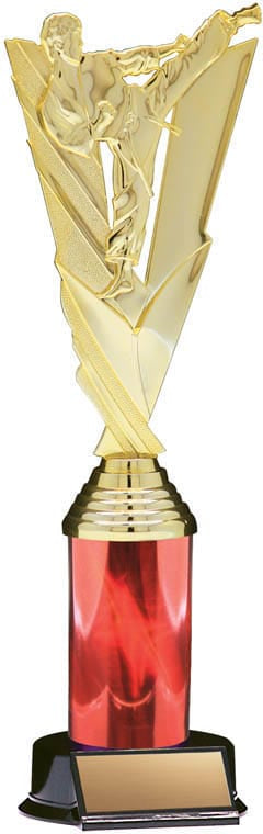 Victory Series Karate Trophy, 11 1/2