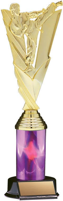 Victory Series Karate Trophy, 11 1/2