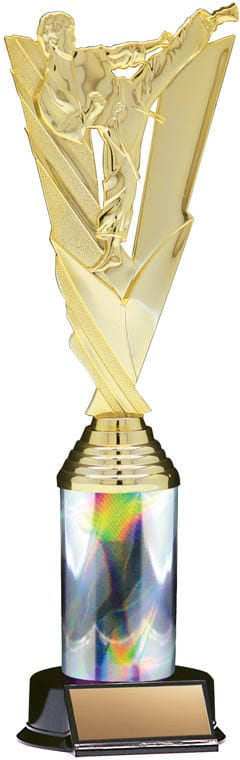 Victory Series Karate Trophy, 11 1/2