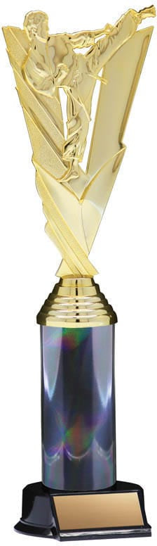 Victory Series Karate Trophy, 12 1/2