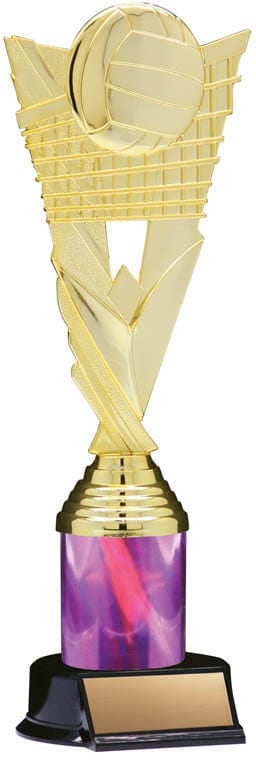 Victory Volleyball Trophy, 10 1/2