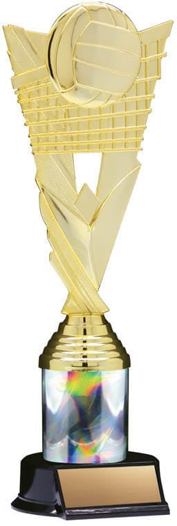 Victory Volleyball Trophy, 10 1/2