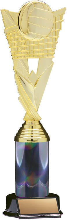 Victory Volleyball Trophy, 11 1/2