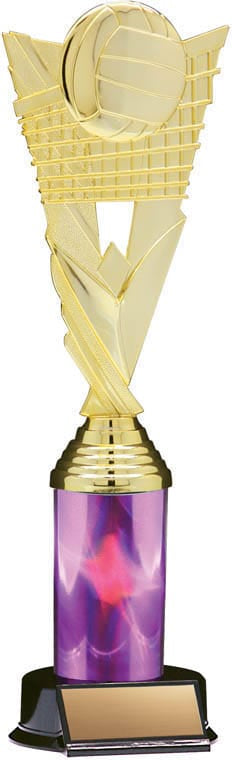 Victory Volleyball Trophy, 11 1/2