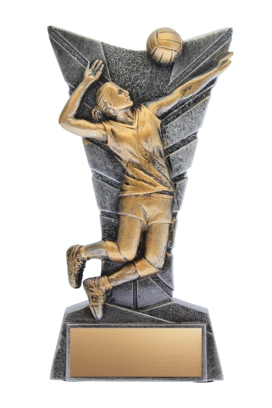 Volleyball Female Delta Resin Award 5 3/4