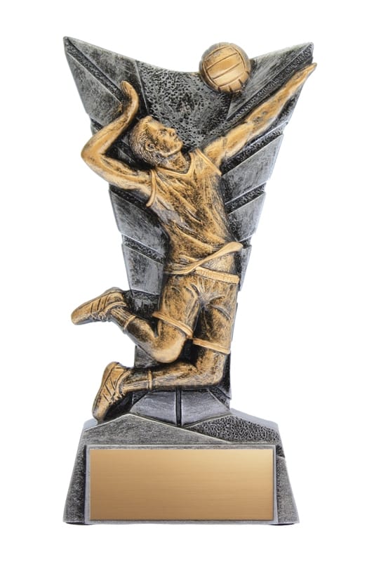 Volleyball Male Delta Resin Award 5 3/4