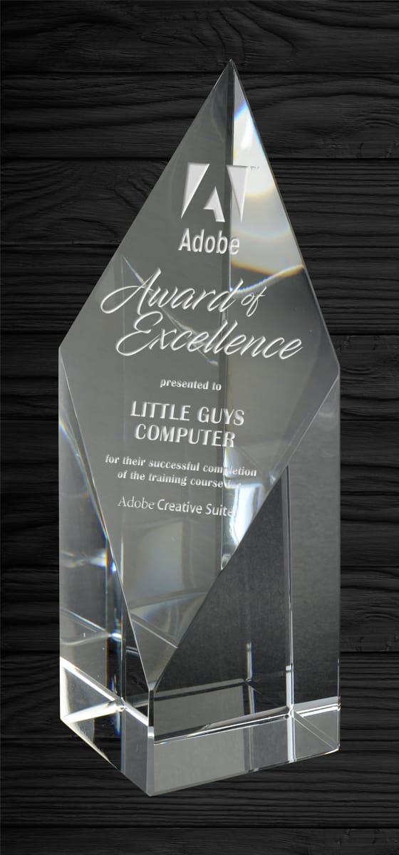 Wingham Crystal Award 6