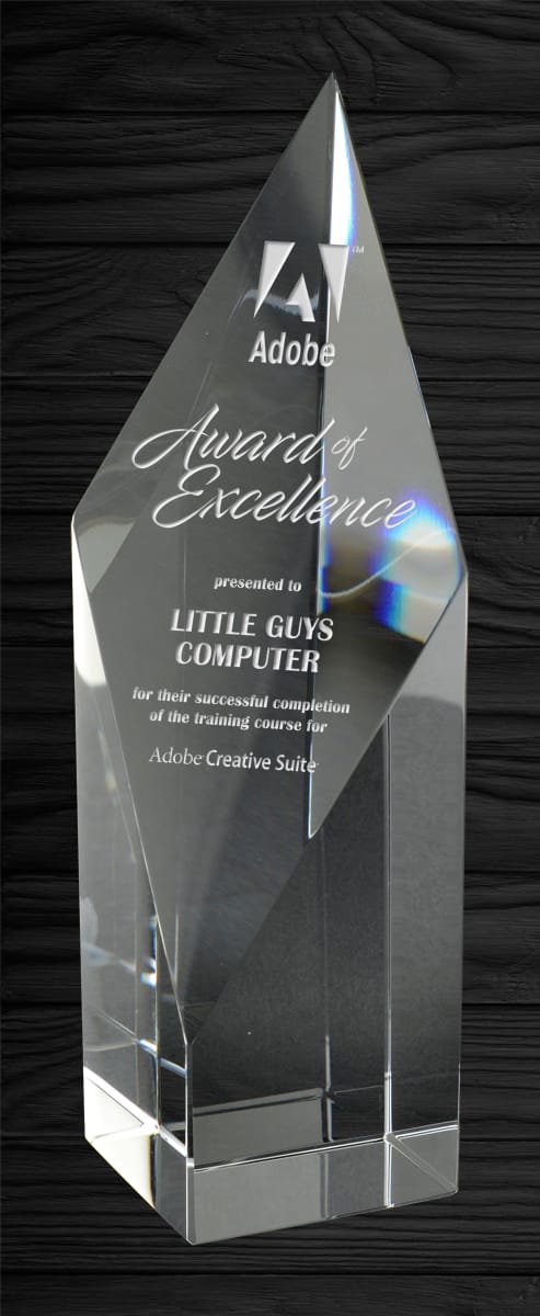 Wingham Crystal Award 6