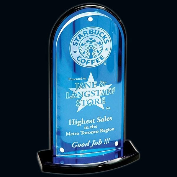 Reflection acrylic award 8–12 inch