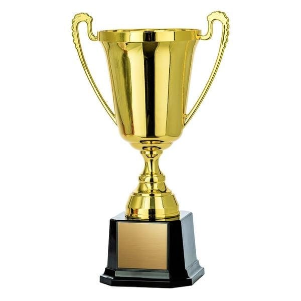 Economy Moment gold Cups 8 inch–11 1/2 inch
