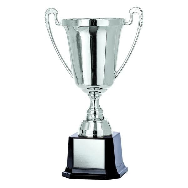 Economy Moment silver Cups 8–12 inch