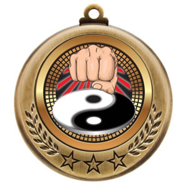 Martial Arts Spectrum medallion 2 3/4 inch