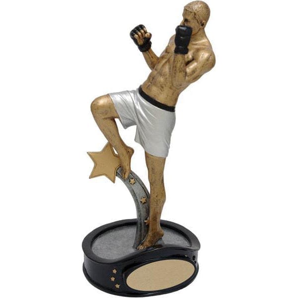Martial Arts Mixed Male trophy