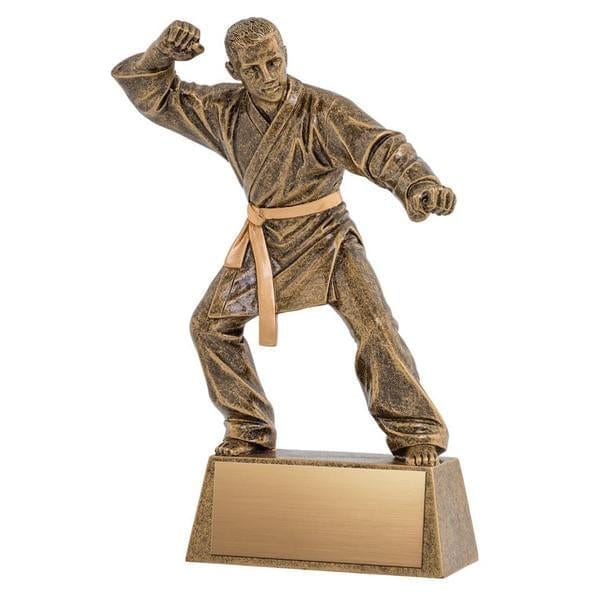 Martial Arts Pinnacle Sculpture trophy