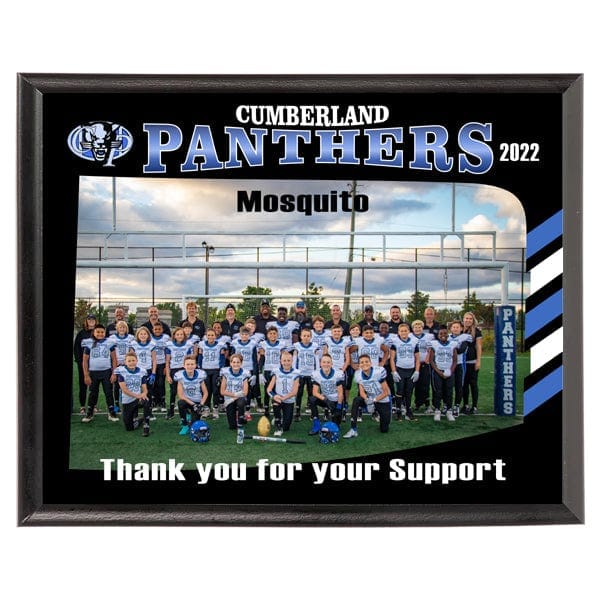 Custom Sponsor Full Colour Photo plaque (Landscape) 8–9 inch