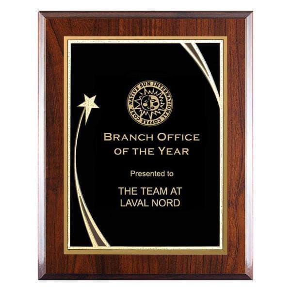 Shooting Plaques Star 7–9 inch – black