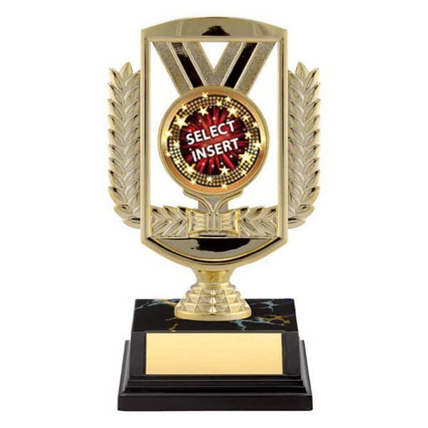 Economy Rectangle insert award