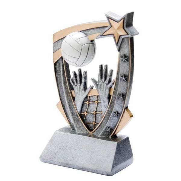 Volleyball 3 D trophy