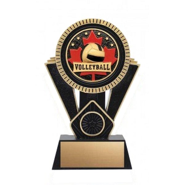 Volleyball Patriot trophy 4 1/2–7 inch